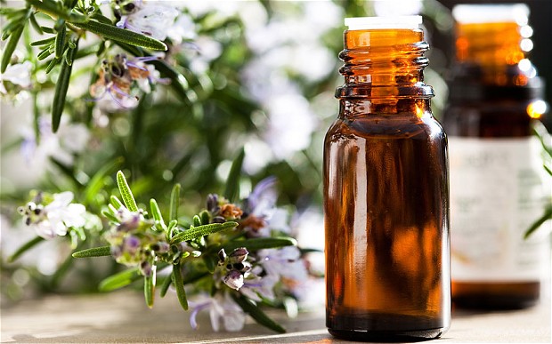 Essential_oil_of_r_2530425b