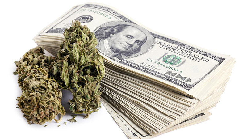 cash-marijuana