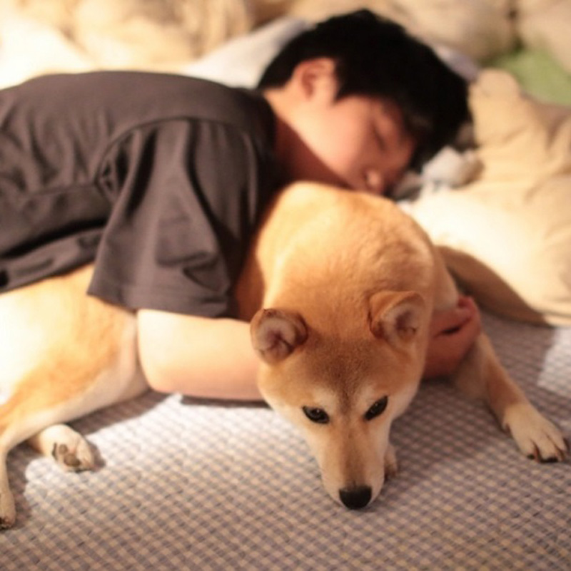 dogandboy
