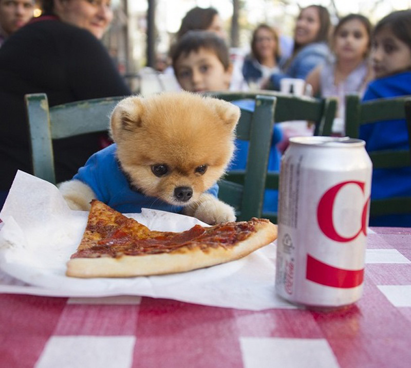 jiffpom