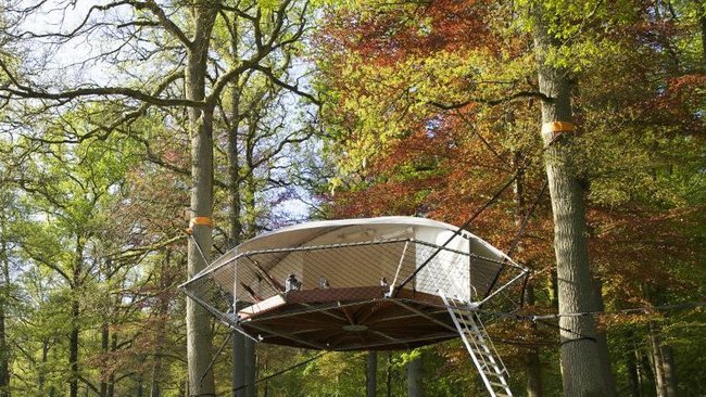 treehouse-domup.jpg.650x0_q85_crop-smart