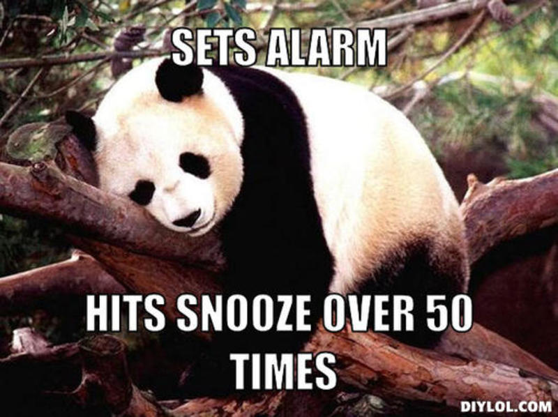 resized_procrastination-panda-meme-generator-sets-alarm-hits-snooze-over-50-times-32c834