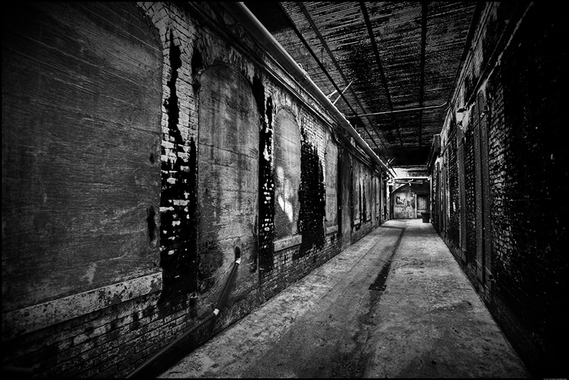 Alcatraz Island