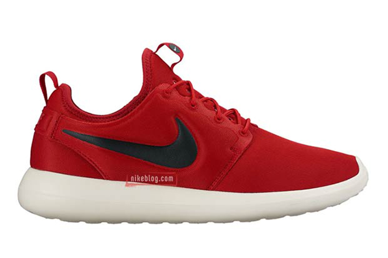 151222-Roshe6-5