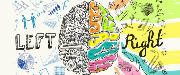 ที่มาของ IDEAS เจ๋งๆ ไม่ได้มาจากสมองฝั่งขวาอย่างเดียว!! แล้วมันมาจากไหน