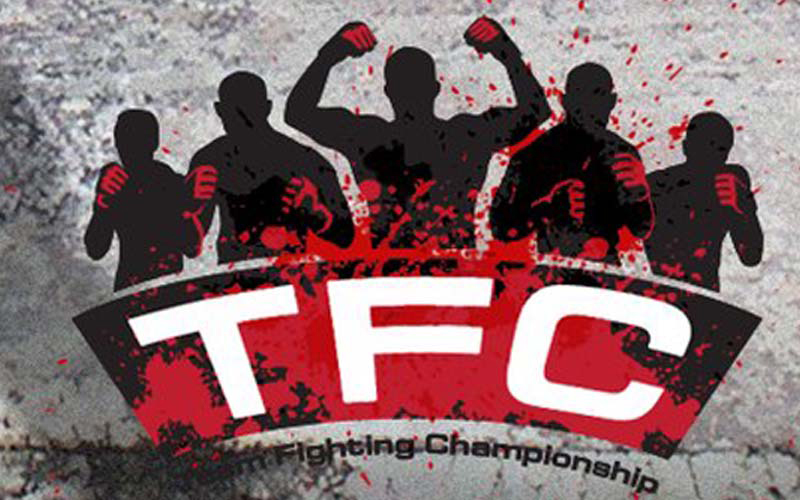 160921-team-fighting-championship-1