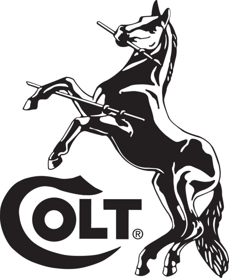 coltwithhorse