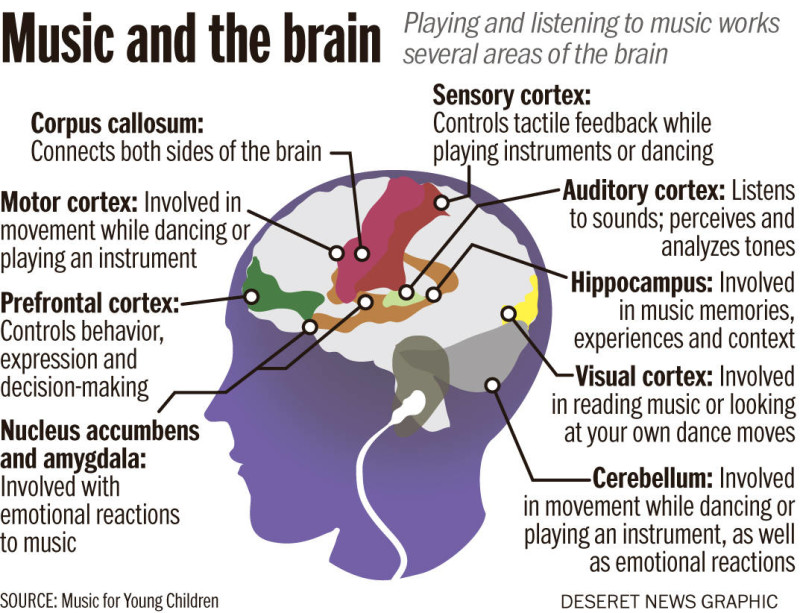 Brain-on-music