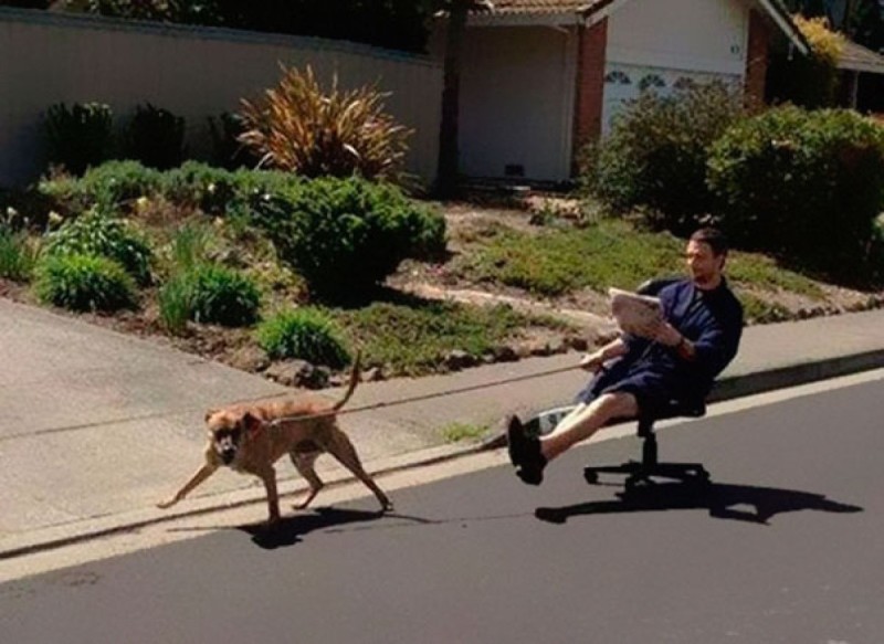 Lazy-Man-With-Dog-Cart-Funny-Image