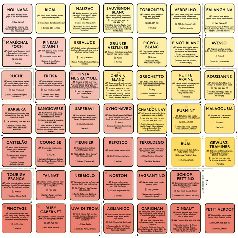 Wine Varietal Chart Poster