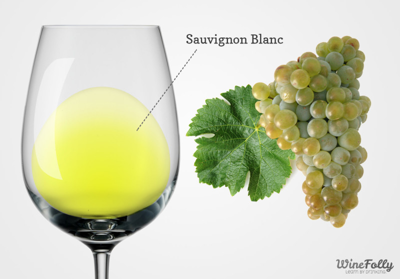 Sauvignon-blanc-wine-and-grapes