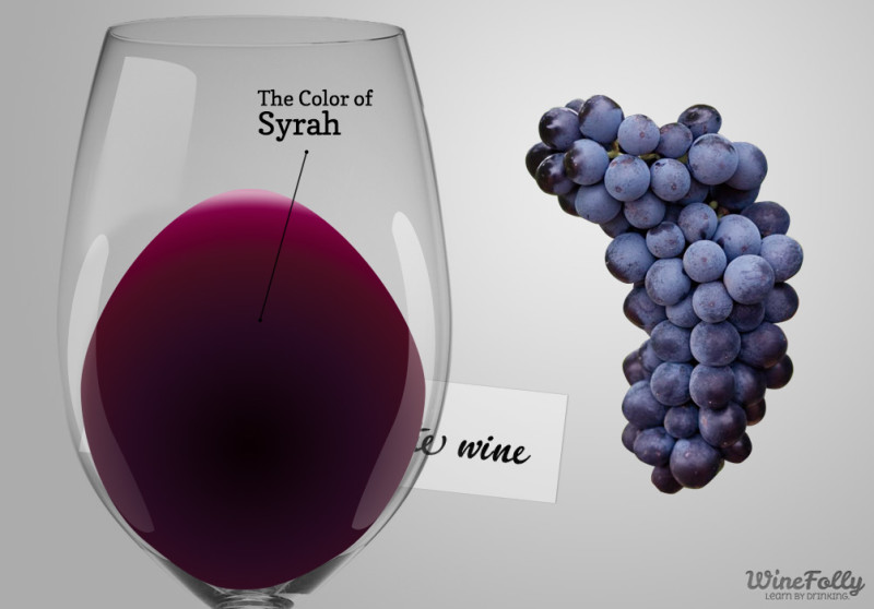 Syrah-wine-guide