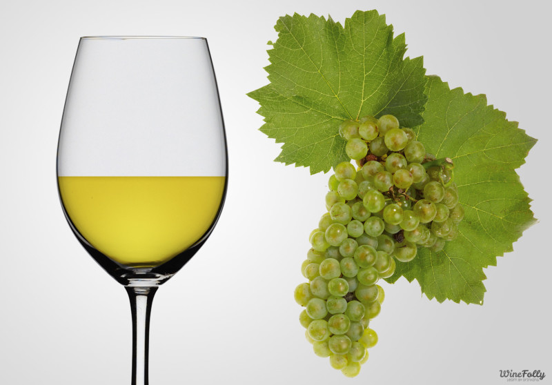chardonnay-wine-in-a-glass-and-chardonnay-grapes