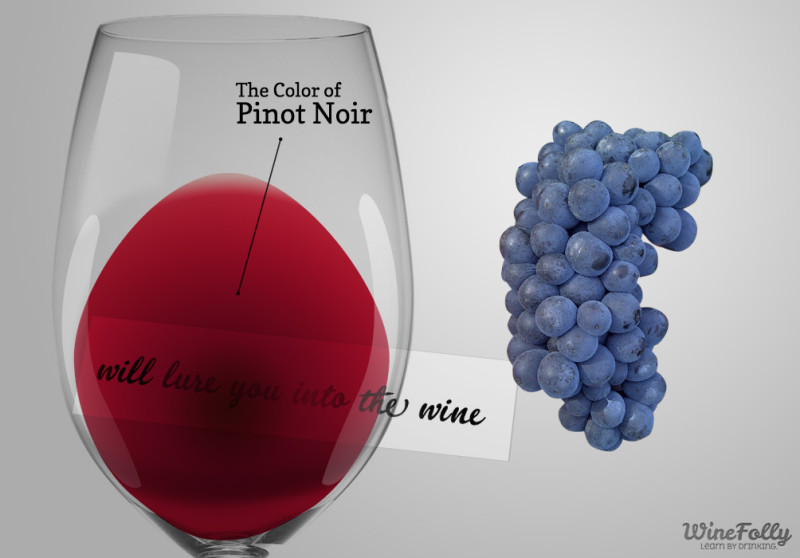 color-of-pinot-noir-wine-and-grapes