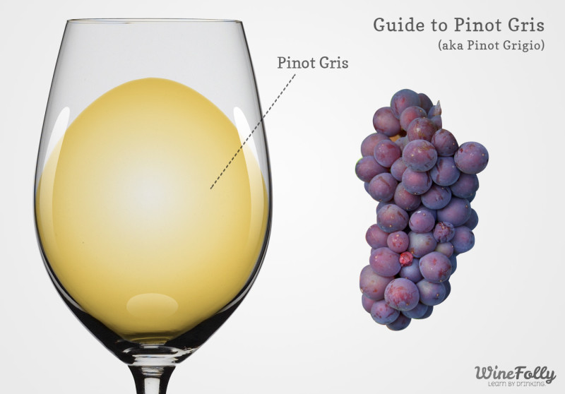 pinot-grigio-gris-wine-guide