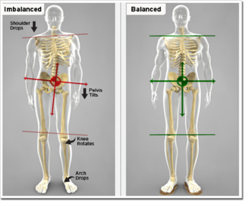 ballleg-length--02