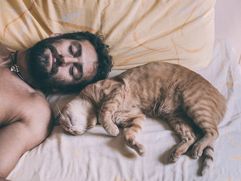 ballCats_Men_Beard_Sleep_463705_1024x768-03