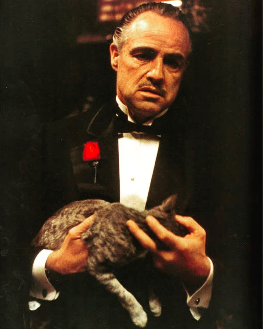 ถอดรหัสความสำเร็จของ Marlon Brando ที่ทำให้ Don Corleone คือที่สุดแห่ง The Godfather ของโลก